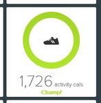 Activity calories.JPG