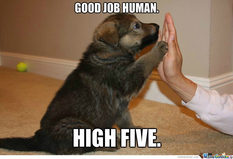 memecongratulations-puppy_o_2325185.jpg