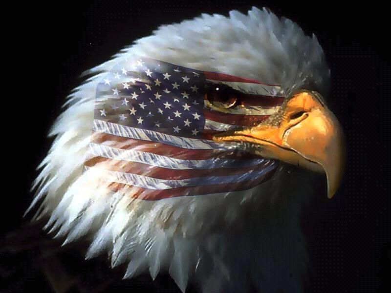 USA.jpg