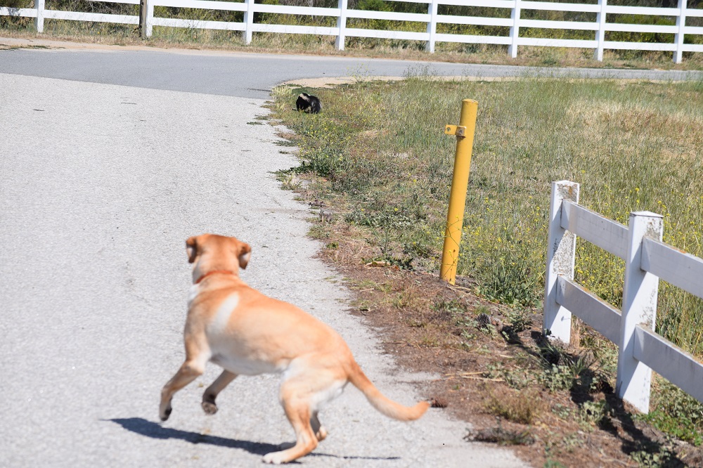 DSC_0157shrink.jpg