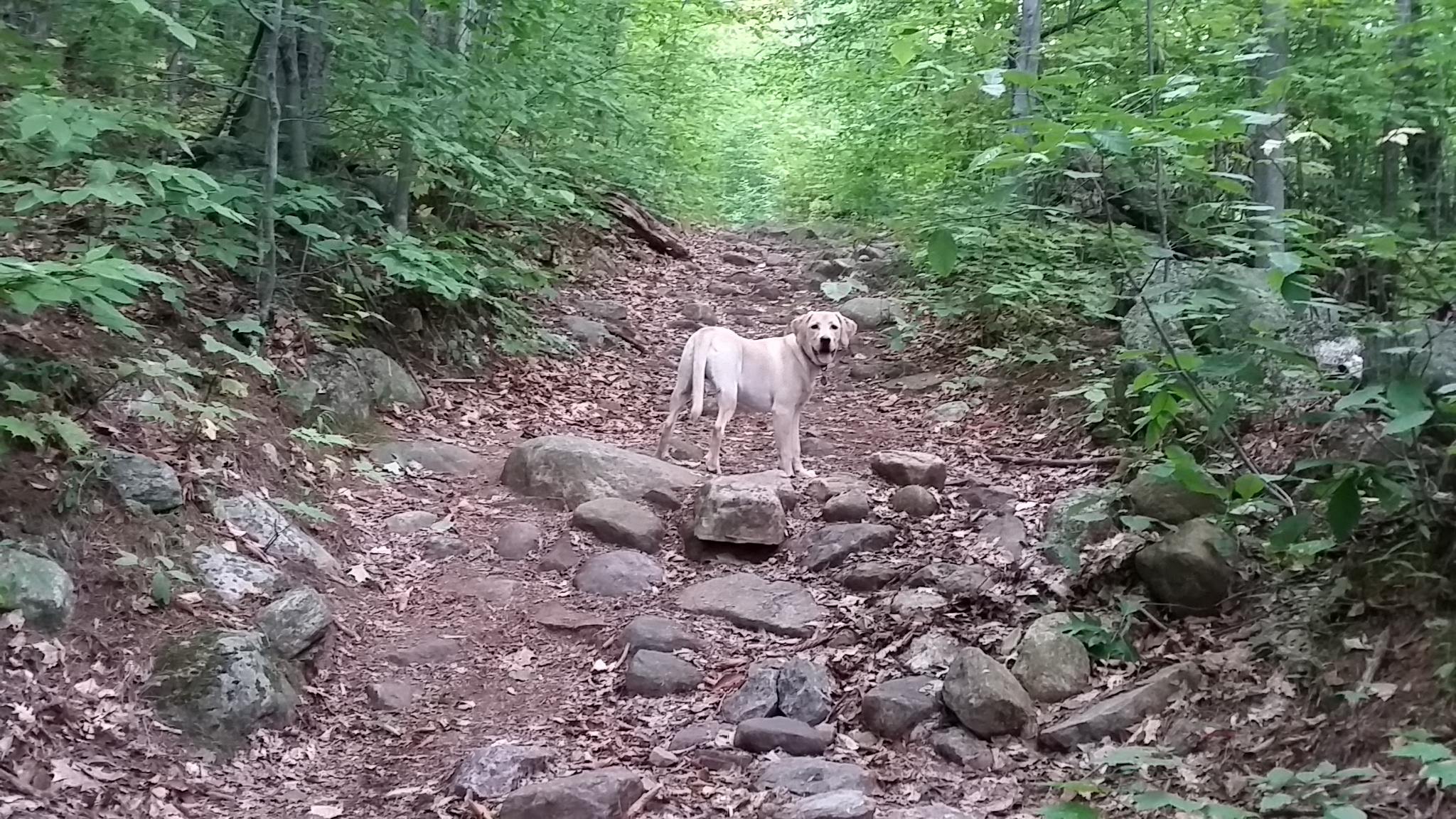 20140920_142602.jpg
