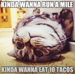 catupload.png