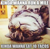 catupload.png