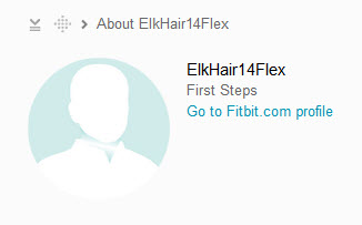 fitbit profiles
