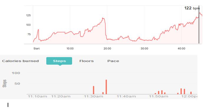 Surge steps HR.jpg