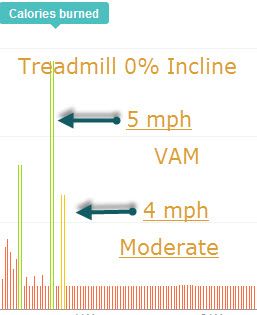 VAM Treadmill.jpg
