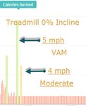 VAM Treadmill.jpg