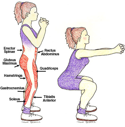 squat.jpg