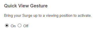 SurgeQuickView.png