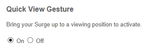 SurgeQuickView.png