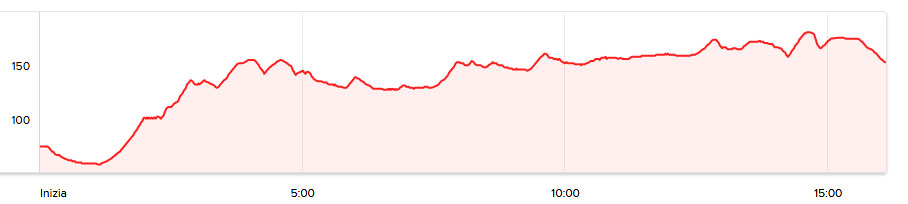 tracciato battito nuovo.jpg