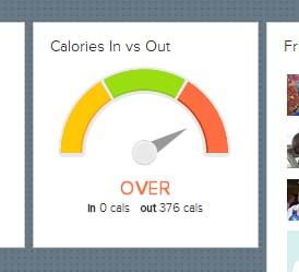 BrokenFitBitDash.jpg