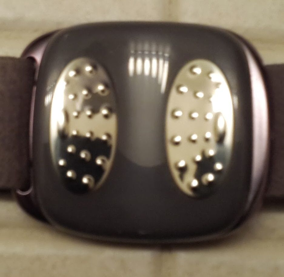 BodyBugg Contacts.jpg