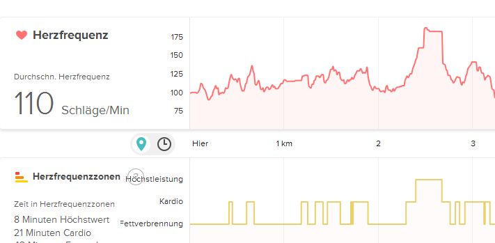 Dashboard früher.JPG