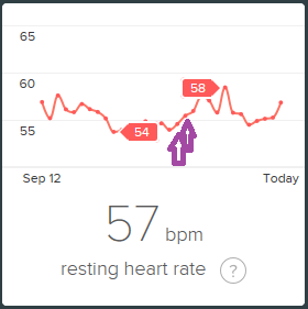 RHR-55.png