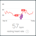 RHR-55.png