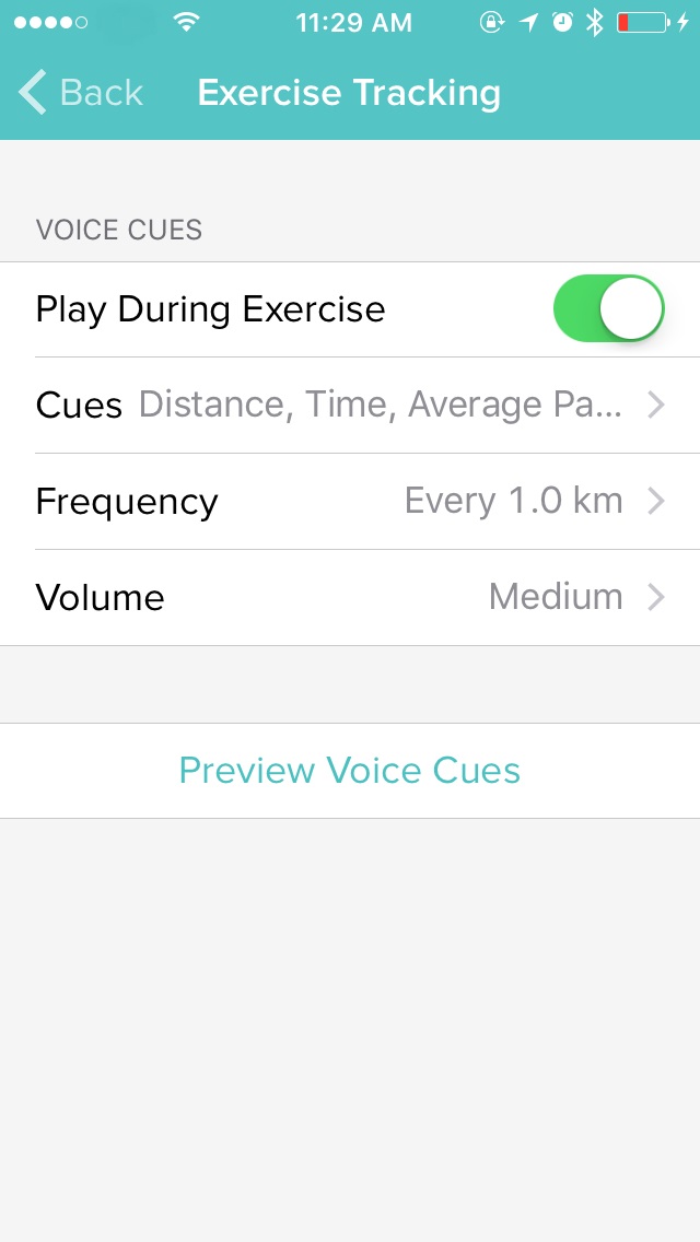 MobileRun Voice Cues.jpg