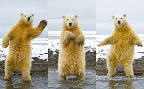 Happy dance.jpg