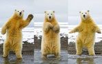 Happy dance.jpg