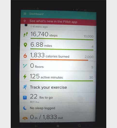 Kindle Fitbit screen shot