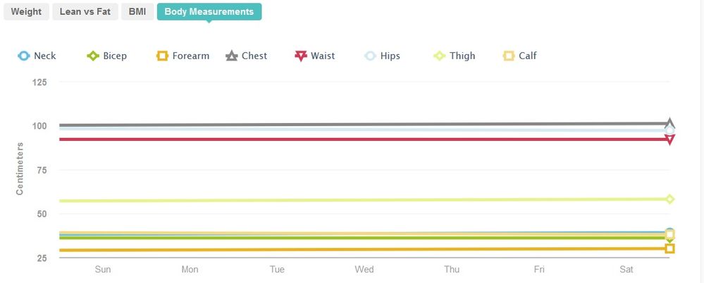 body measurements.jpg
