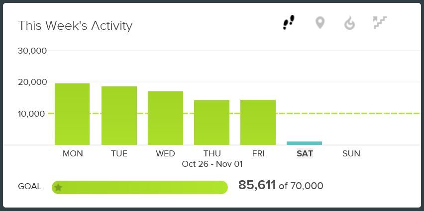 fitbit-weekly-activity-tile.JPG