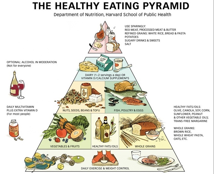 food pyramid.jpg