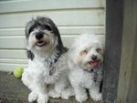 Cuba&Izzy.jpg