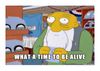 wattbasimpsons-thumb.jpg