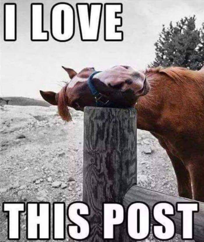 FB_IMG_1447954653159.jpg
