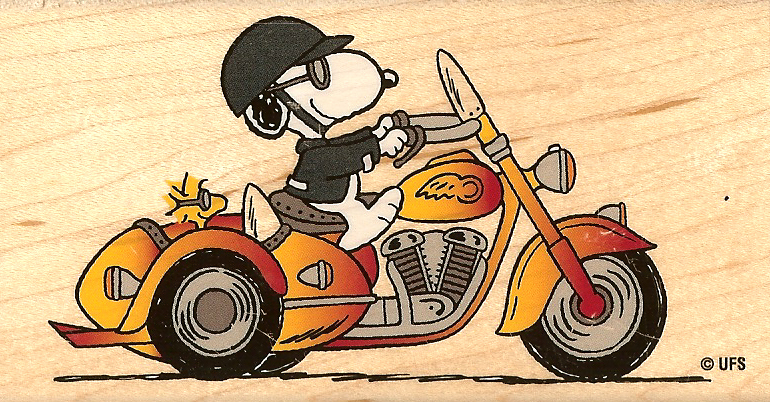 45276d1358310477-i-put-up-outside-antenna-sidecar-snoopy[1].jpg