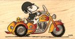 45276d1358310477-i-put-up-outside-antenna-sidecar-snoopy[1].jpg