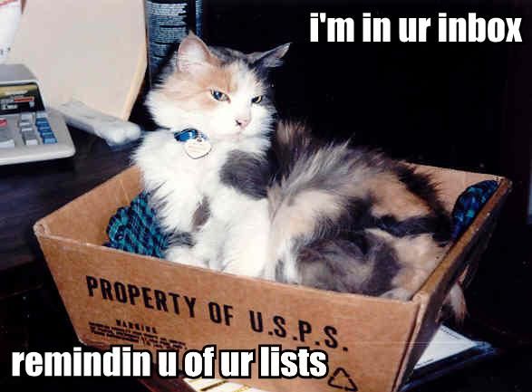email-marketing-cat-in-your-inbox.jpg