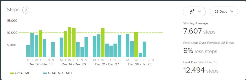 Fitbit picture 2025 with stats