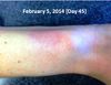 fitbit4.jpg