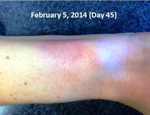 fitbit4.jpg