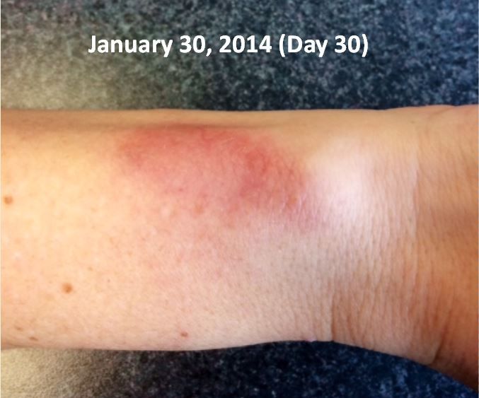 fitbit3.JPG
