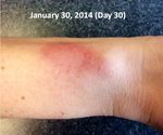 fitbit3.JPG