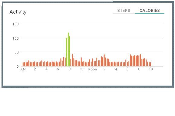 today steps.JPG