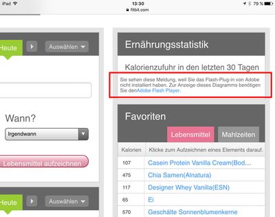 Fehler Ernährungsprotokoll (iPad Safari-Browser)