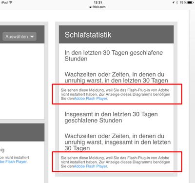 Fehler Schlafprotokoll (iPad Safari-Browser)