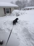 Magnus Snow