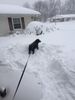 Magnus Snow
