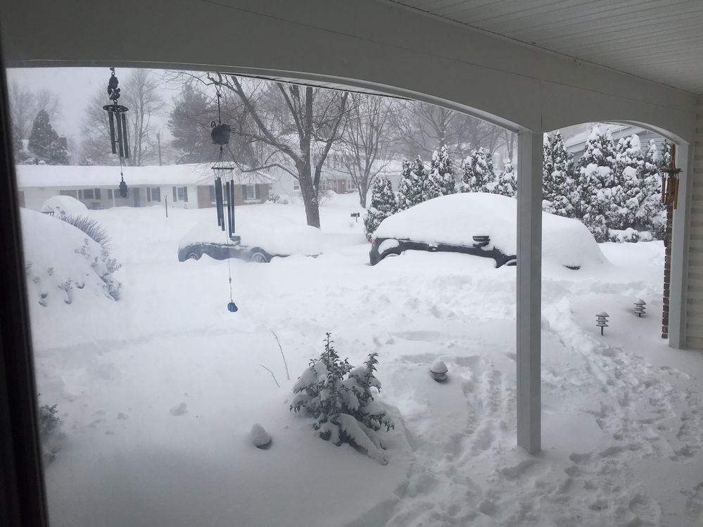 Snow View