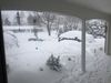 Snow View