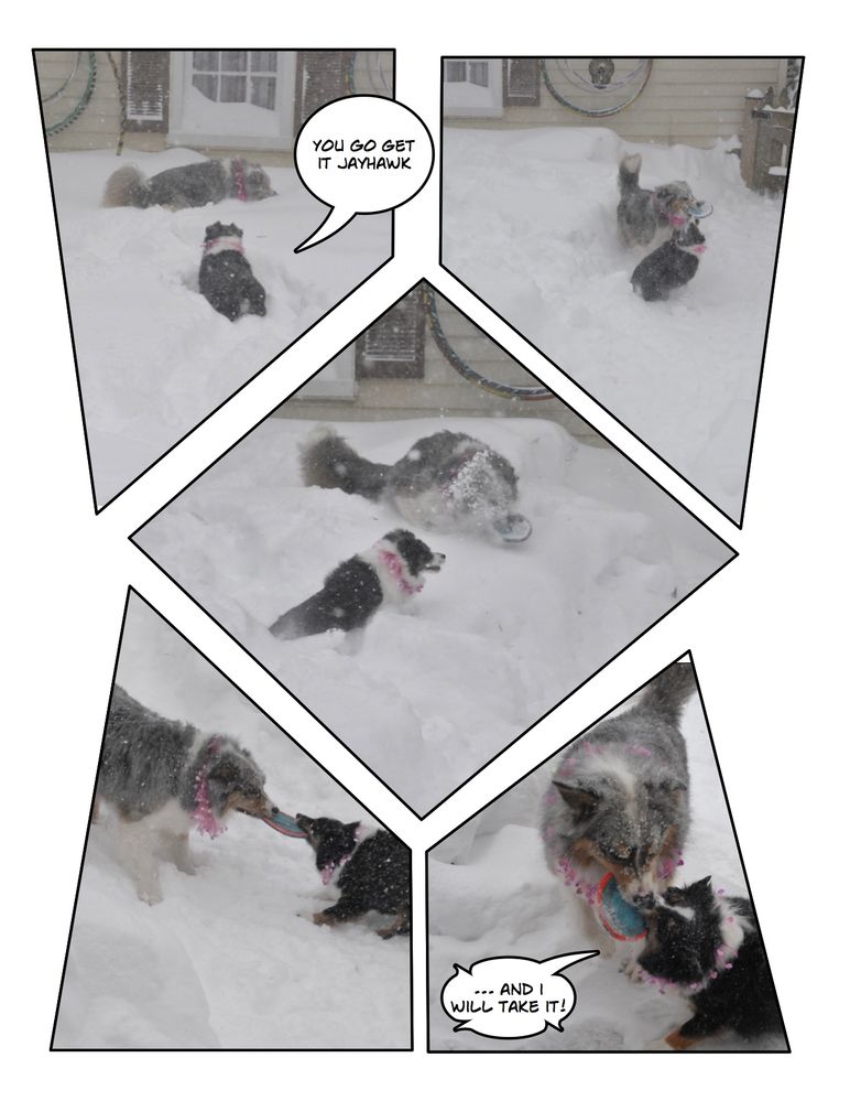 Page_1.jpg