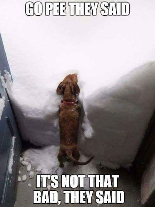 FB_IMG_1453600354786.jpg