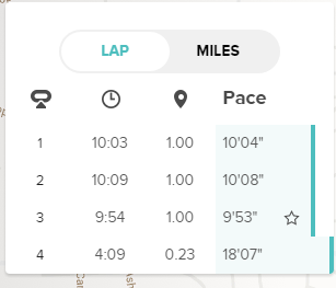 lap time from site