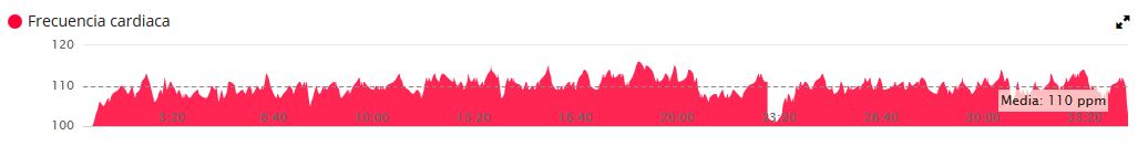 2016_01_31 Garmin.JPG