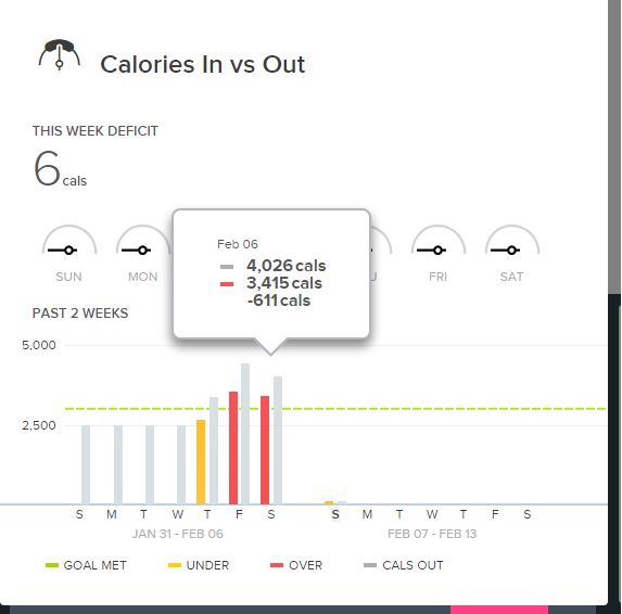 fitbit pic.png